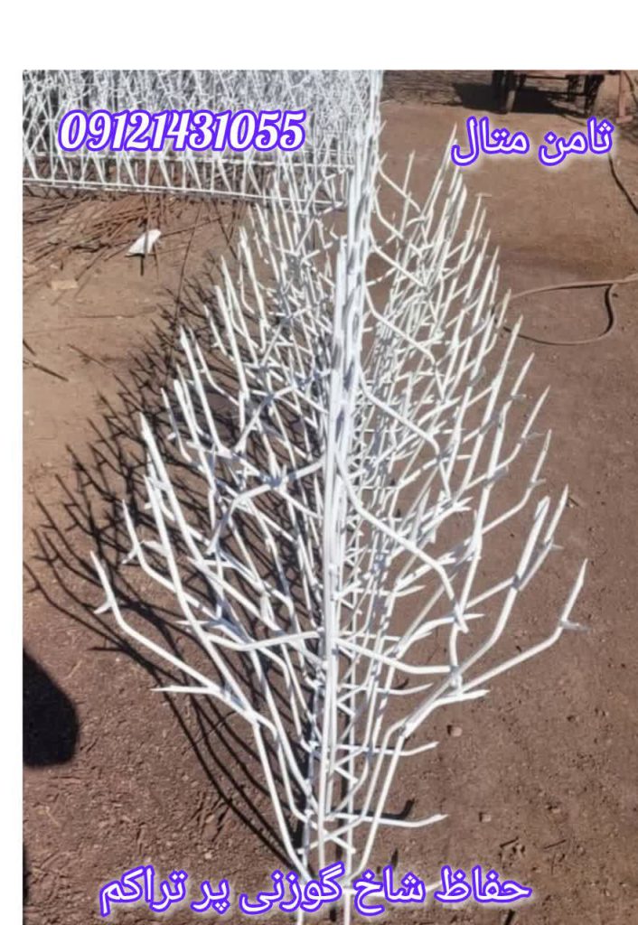 حفاظ شاخ گوزنی پر تراکم
